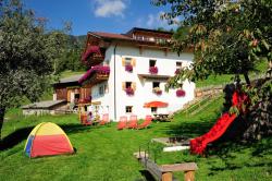 Steierhof Images