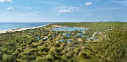 Cinnamon Wild Yala Images