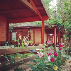 Bungalow & Camping Fuente De Regrustan Images