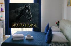 BRAVO HORSE Images