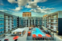 Cozysuites PHX RORO Gym, Pool, Pets, Parking! #7 Images