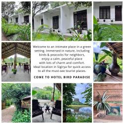 Hotel Bird Paradise Images