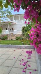 kavouraki 1 Images