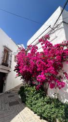 Suite Buganvilla Vejer Images