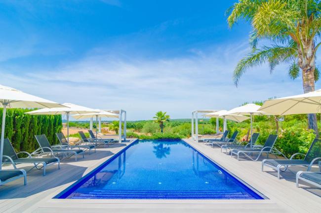 Finca Short De Conies 2 Images_1