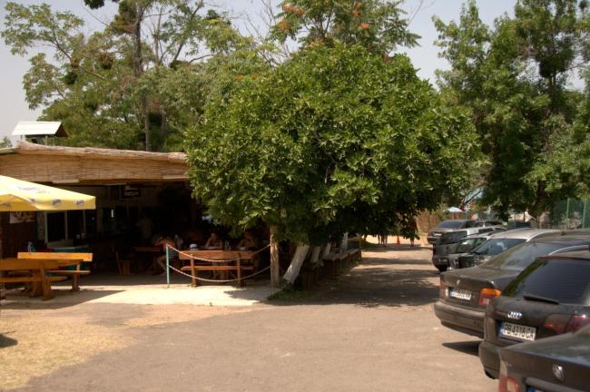 Camping Goldfish Images_5