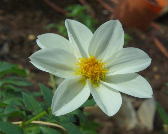 Studio Zaklopatica 993b Images_4