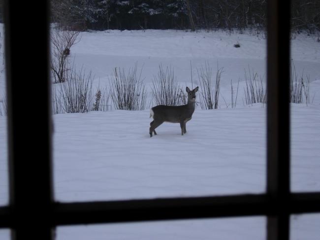 Heddahgaarden Images_5