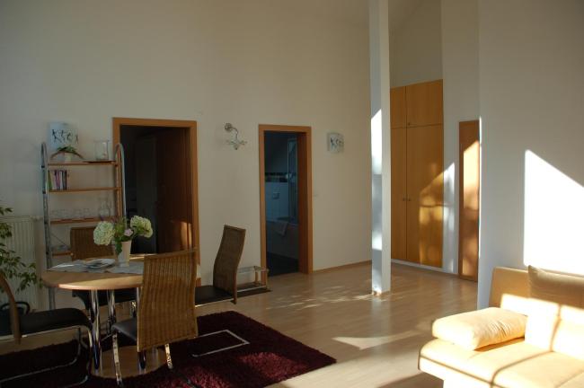 Erholungsfuechse Andechs Images_3