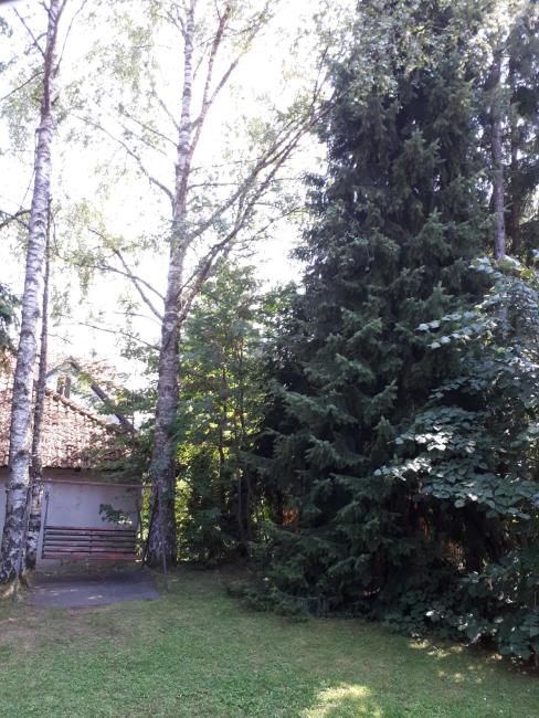 Apartmani U Borovoj Šumi Images_5