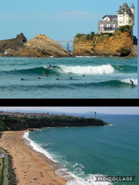 Biscardy Images_5