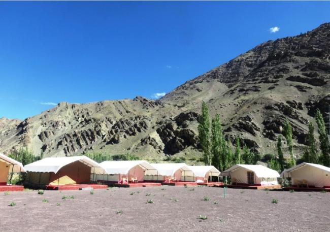 Camp Delight Ullay Images_4