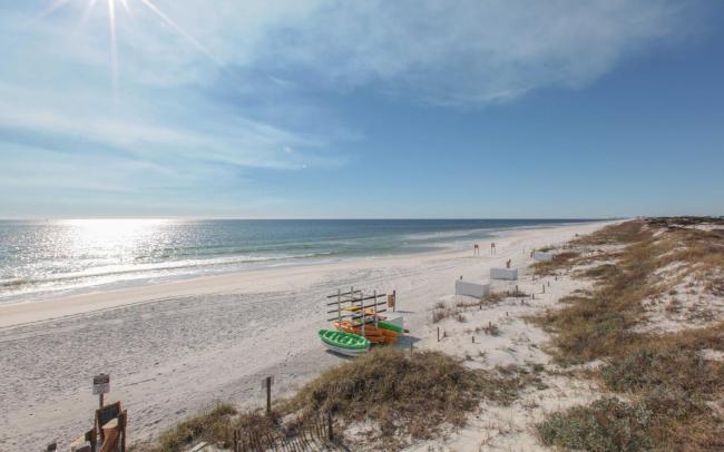 On Koi Pond Images_3