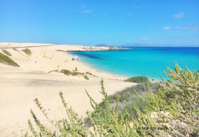 Marine Breeze Apartment Images_1