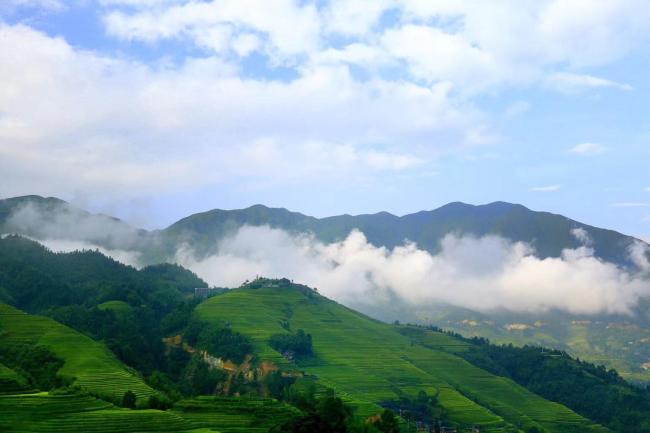 Longsheng Golden dragon country villa Images_3