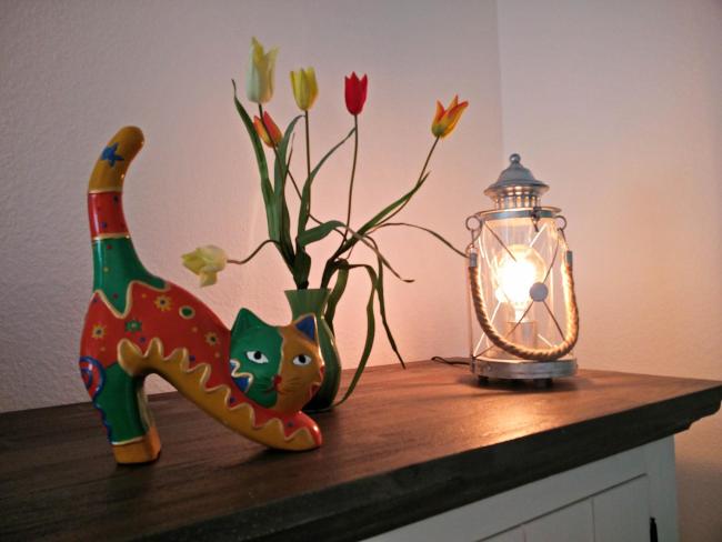 Apartment Hirt Images_1