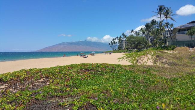 Kihei Akahi Resort - Unit D506 Images_3