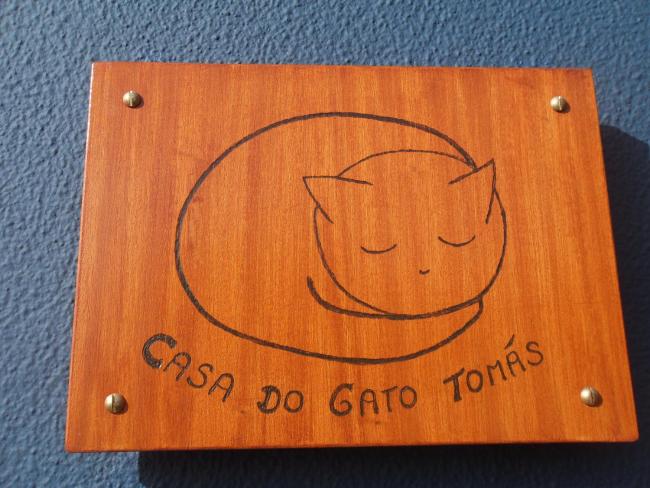 Casa do Gato Tomás Images_3