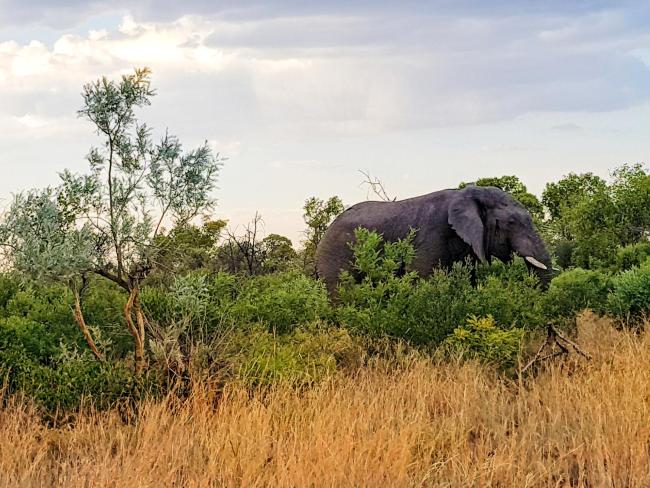 OuKlip Game Lodge Images_4