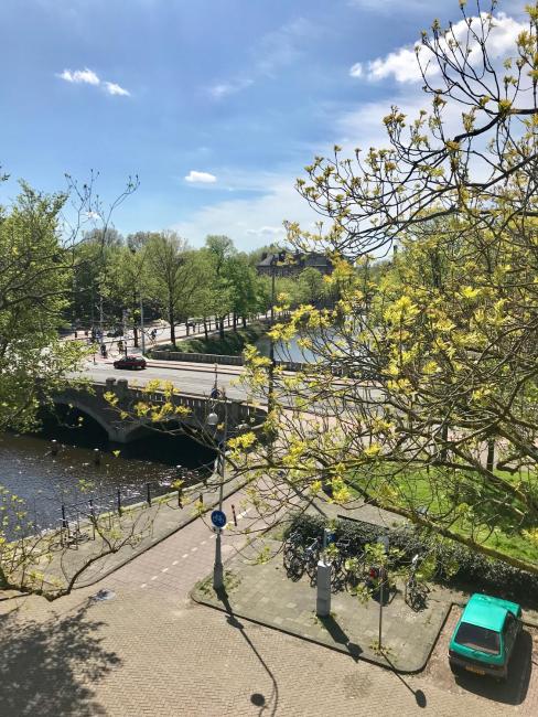 Artis Zoo Studio Images_3