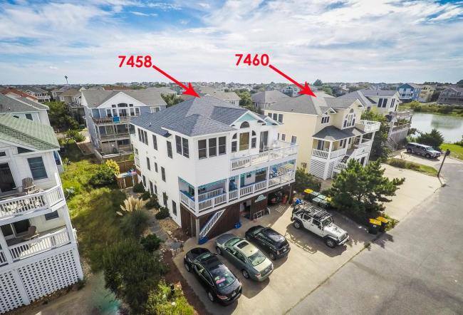 Paw Prints in the Sand Images_2