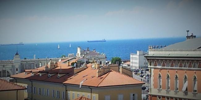 Le Petit Phare Images_1