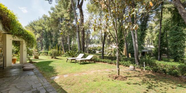 Coelo Shared Pool, Sani Images_4