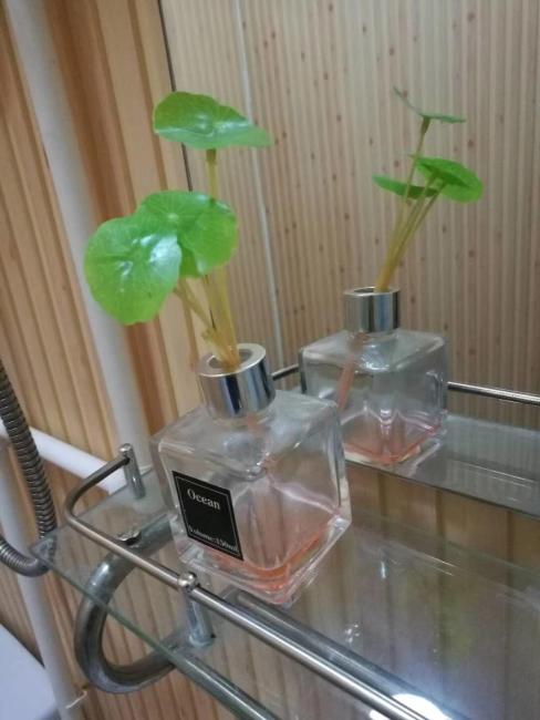 Gubei Shuizhen Time Guesthouse Images_1