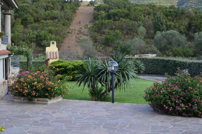 Sarrala’s Images_3