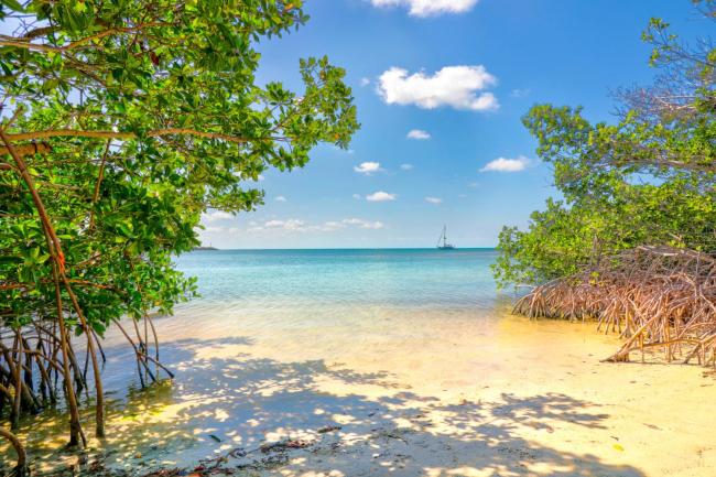 Fiesta Key RV Resort Waterfront Cottage 34 Images_4
