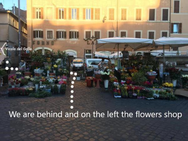 B&B In Piazza Images_5