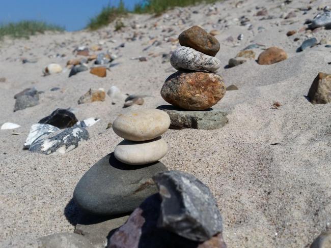 Spacious Holiday Home in Borgerende-Rethwisch with Garden Images_5