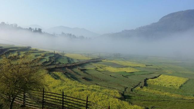 The Little House in the Rice Fields Images_3