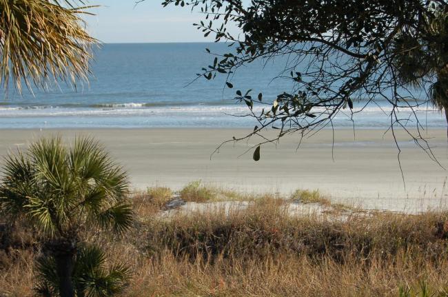 104 Oceanwood Images_5