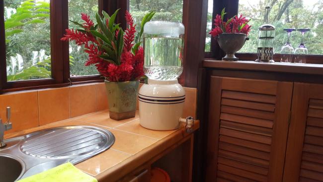 Monkey Tree Retreat by the Sea Images_3