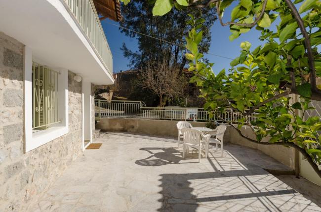 Ev Zin Basilicum Images_1