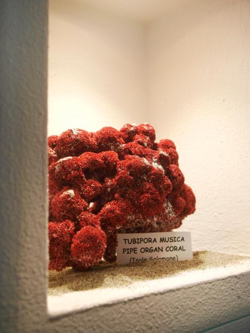 Hotel Garnì Corallo Images_2