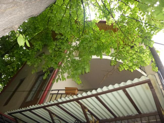 ★★House with Garden in the heart of Tbilisi★★ Images_2