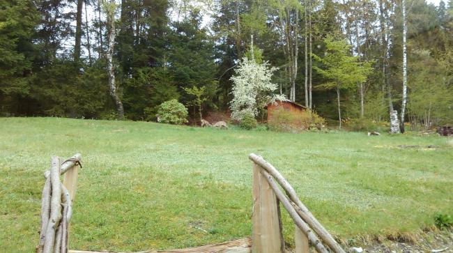 Chalet d'Orion Images_3