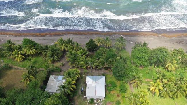 Casa turtle Bogue Images_1