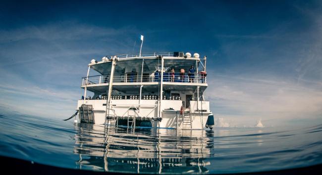 Reef Encounter Images_3