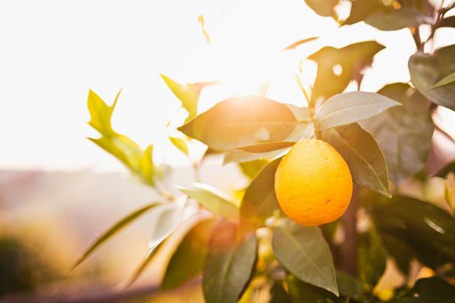 Podere Settefrati holiday home Images_1