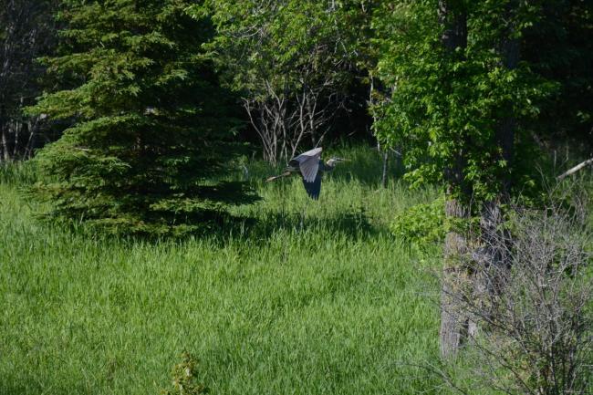 Deerpath on the Bay Images_5