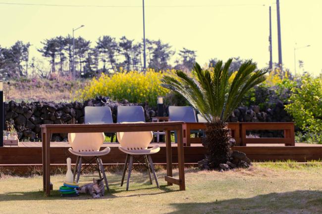 Hello Project Guesthouse Images_5