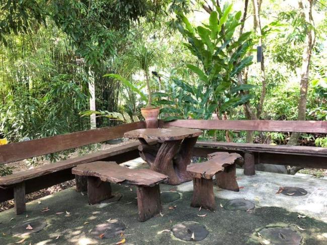 Thinothai Images_3