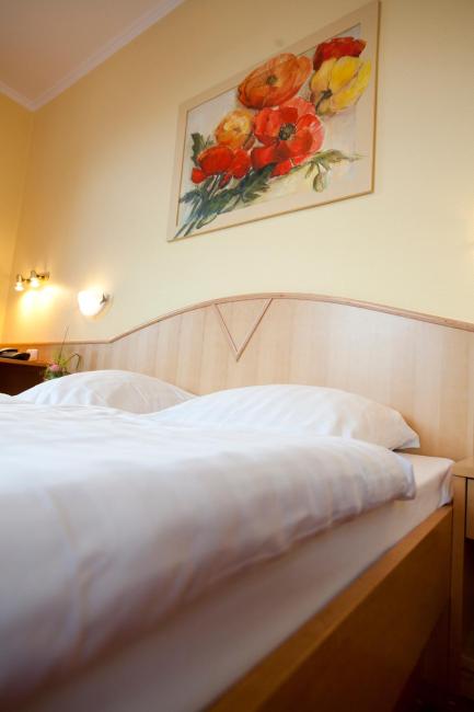 Hotel Zwei Mohren Images_4