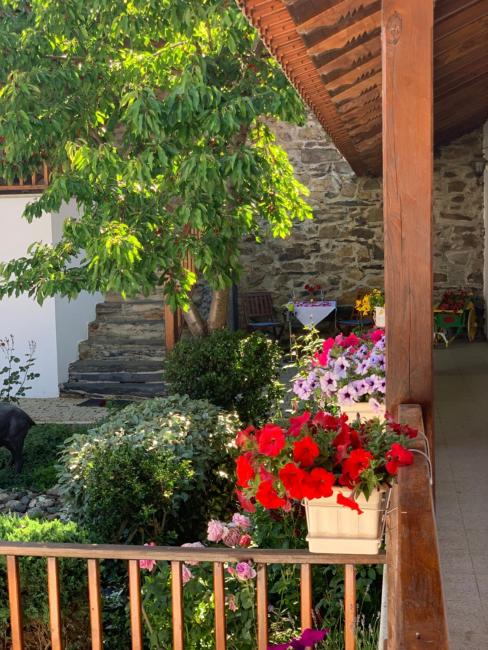 Solar de Rabal Images_3