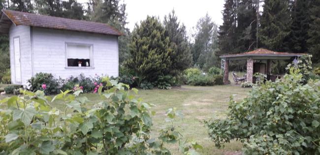 Metsjärve kämpingumajake Images_5