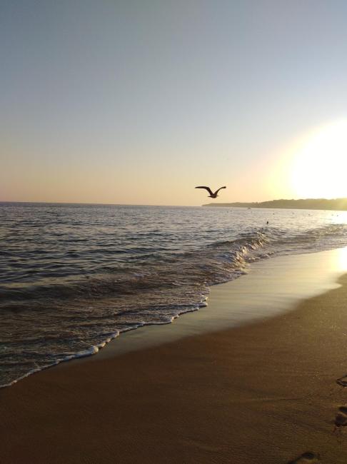 1st Floor at Baleeira Images_2