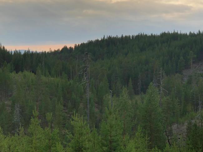 Chalet Suomukka Images_4